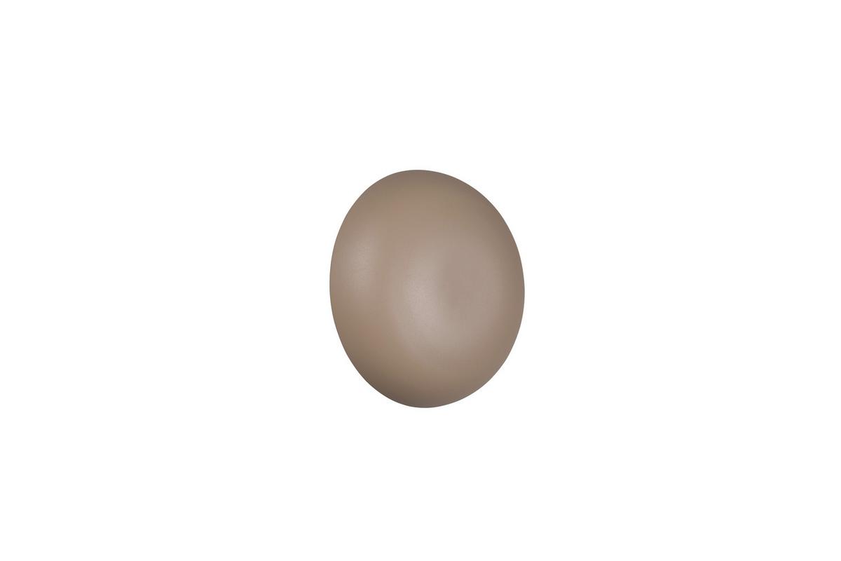 LED-Wandleuchte Davey Beige D: 15,5 cm - Beige, Design, Metall (15,5/8,4cm)
