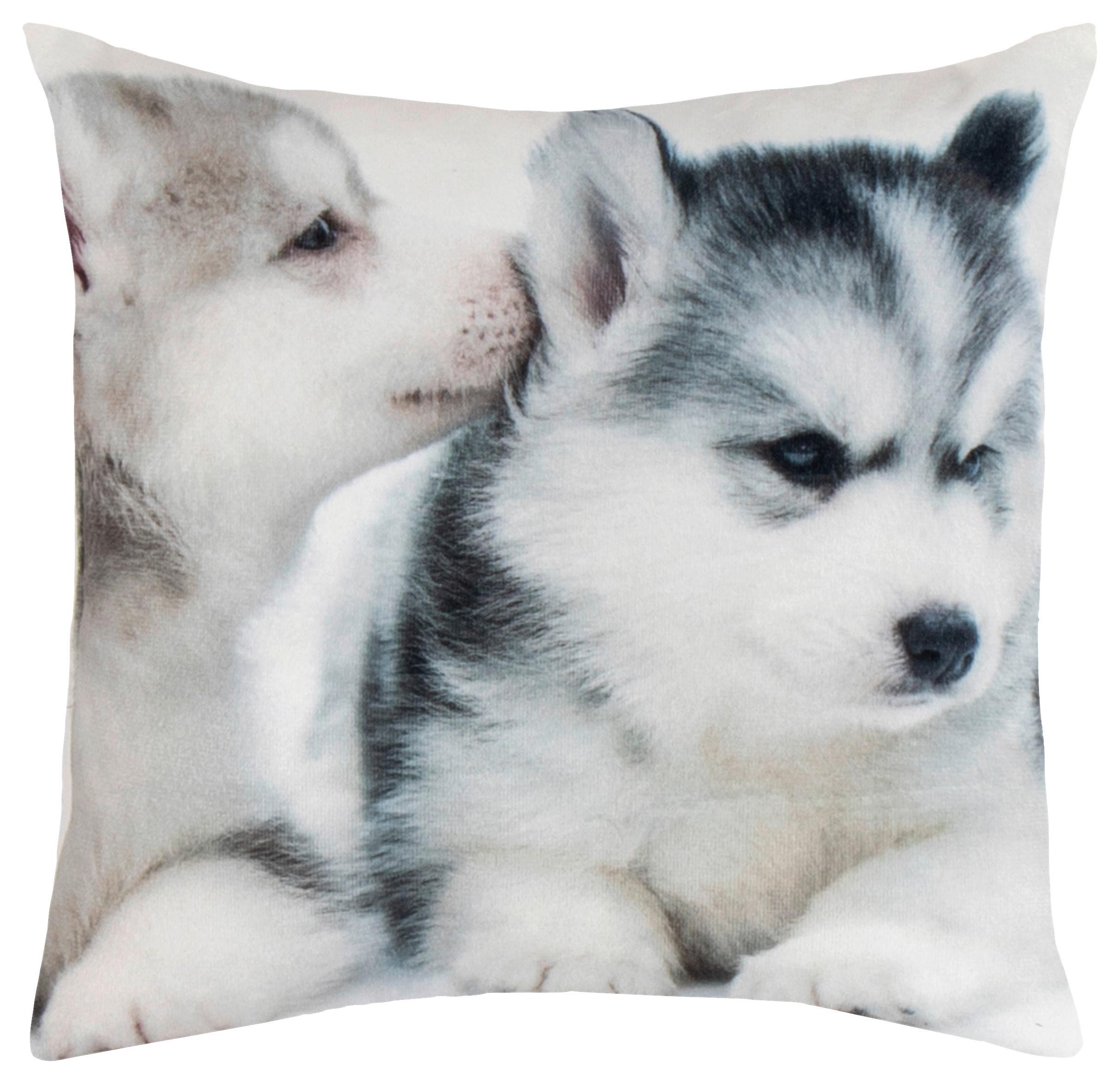 Zierkissen Timi 25x25 Cm Polyester Multicolor - Schwarz/Braun, KONVENTIONELL, Textil (25/25cm) - Ondega