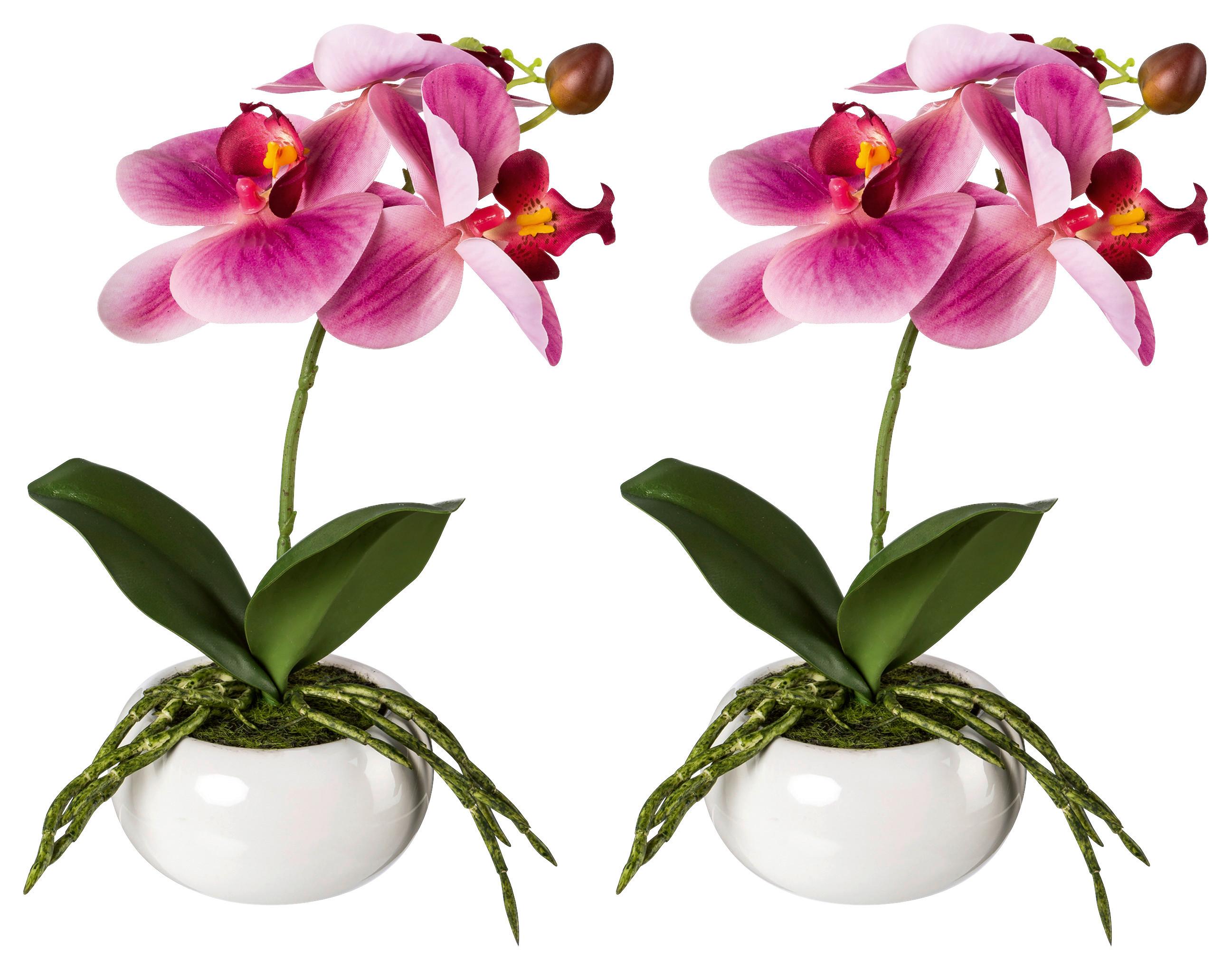 Kunstpflanze Orchidee Rosa, inkl. Topf, H: 27 cm - Dunkelrosa/Rosa, Design, Keramik/Kunststoff (27cm) - P & B
