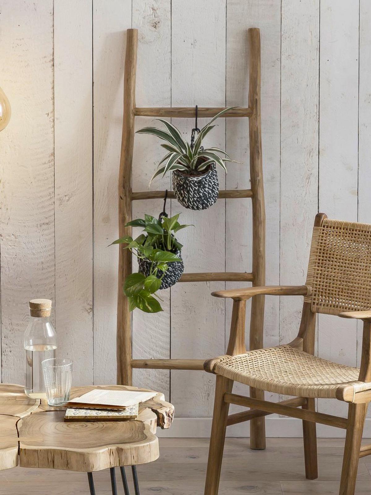 Dekoleiter Teakholz B: 50cm - Naturfarben, Design, Holz (50/150/5cm) - MID.YOU