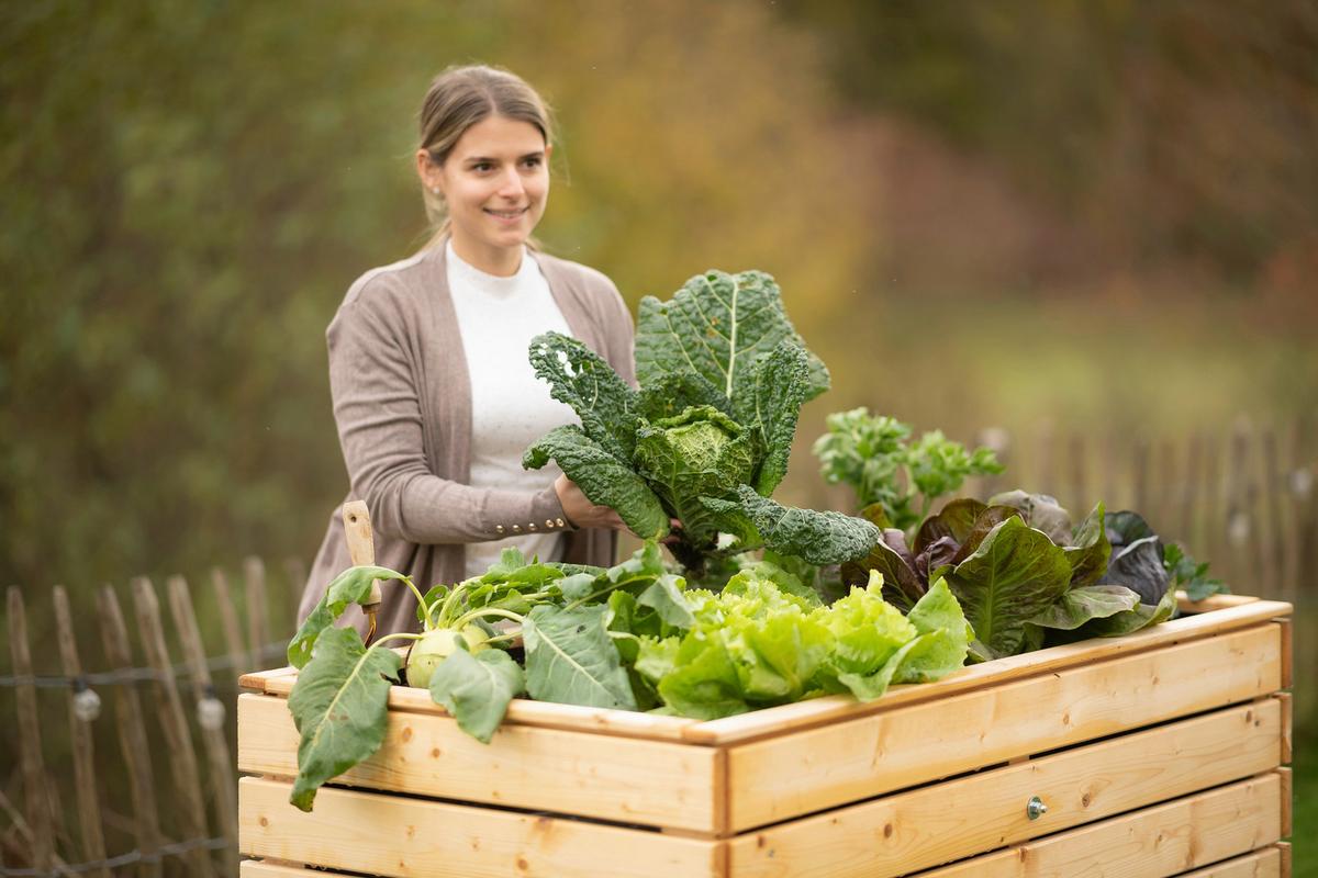 Hochbeet Echtholz Fichte 70x90x130 Cm  Fichtefarben - Fichtefarben, Basics, Holz (70/90/130cm)