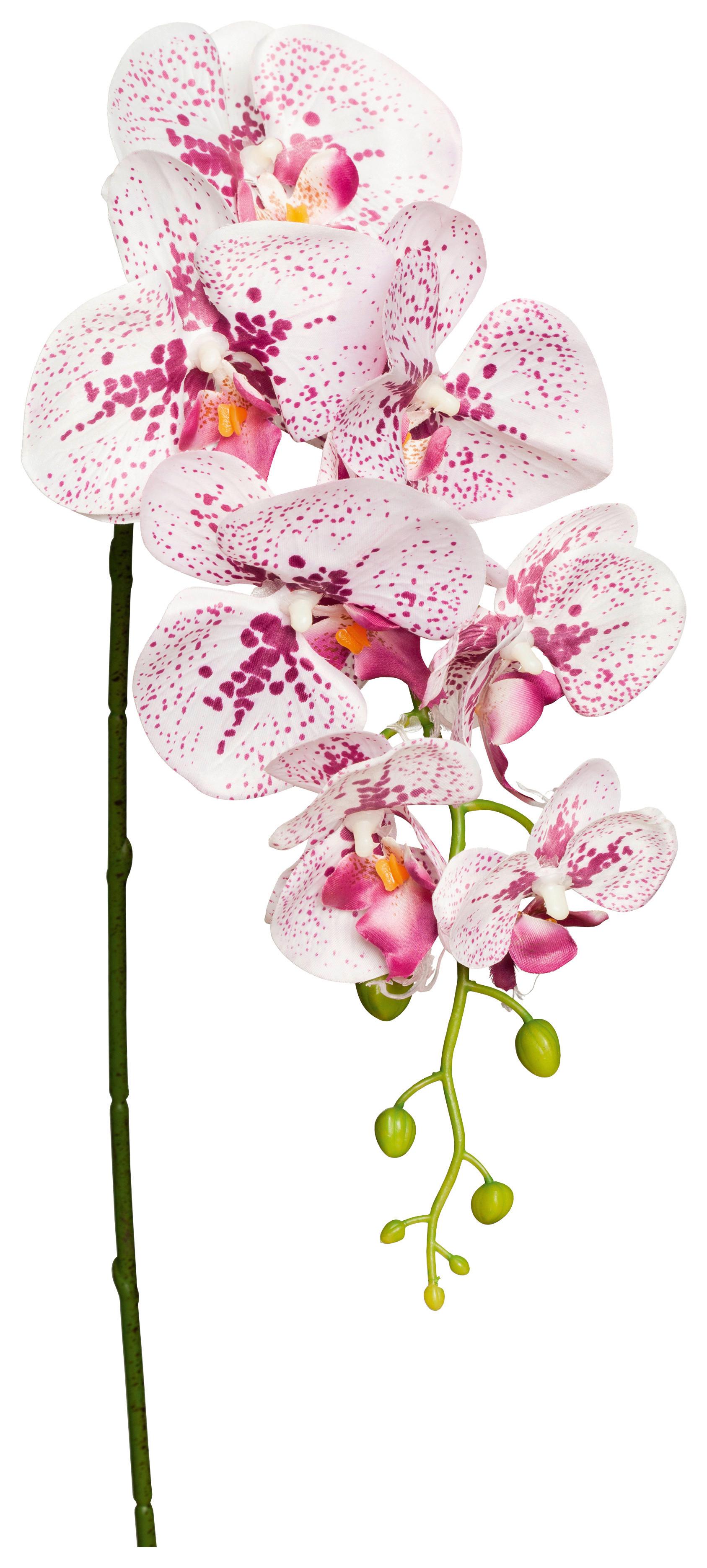 Kunstpflanze Orchidee Lila/ Weiß L: 86 cm, Ria - Lila/Weiß, KONVENTIONELL, Kunststoff/Metall (86cm)
