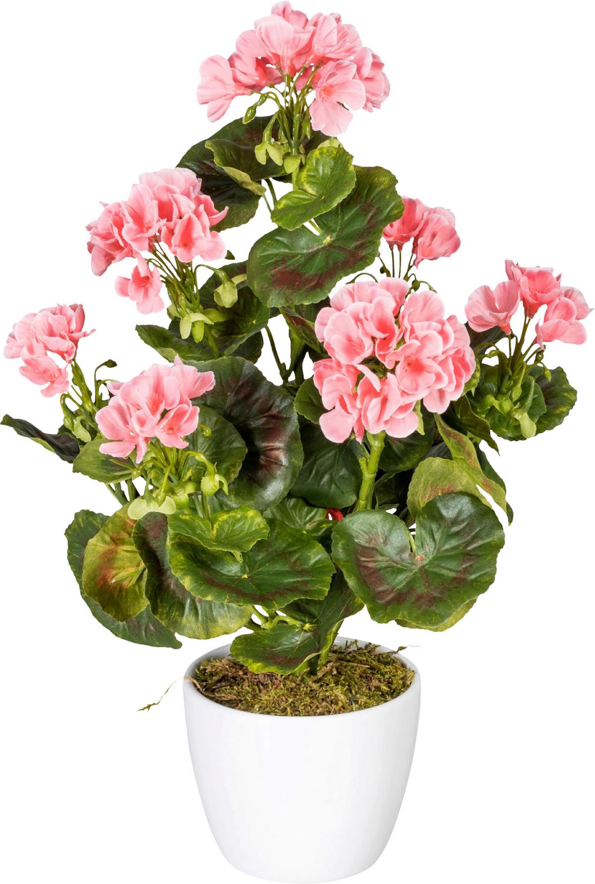 Kunstpflanze Geranie inkl. Topf D: 13 cm - Rosa/Weiß, Design, Keramik/Kunststoff (40cm) - P & B
