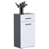 Badezimmer Unterschrank Pearl New Snol 112 BxH 40x77,4 cm - Anthrazit/Weiß, KONVENTIONELL, Holzwerkstoff (40/77,4/29,6cm)