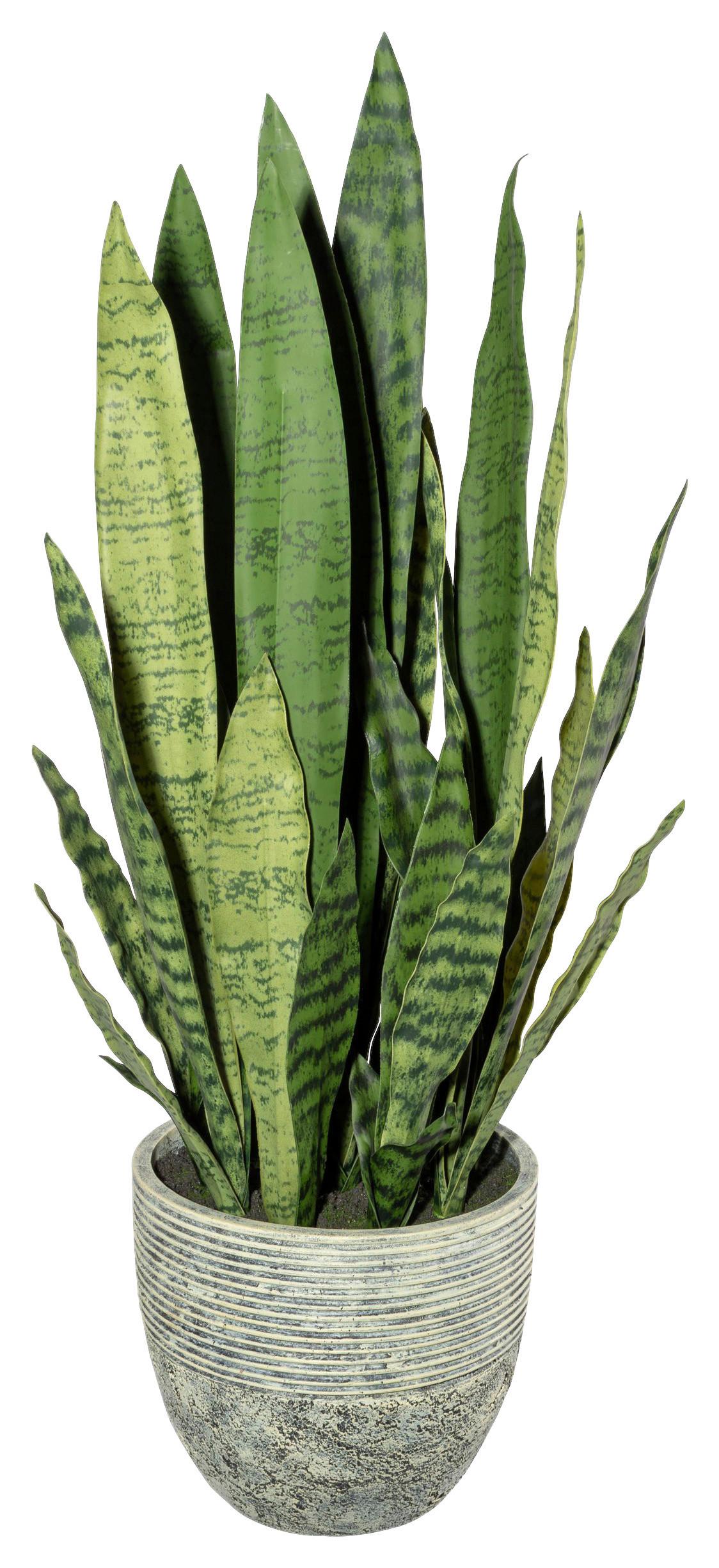 Kunstpflanze Sukkulenten Gelb/grau/grün, 80 Cm - Gelb/Grau, Design, Kunststoff (80cm) - P & B