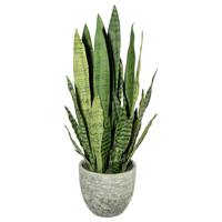 Kunstpflanze Sukkulenten Gelb/Grau/Grün, 80 cm - Gelb/Grau, Design, Kunststoff (80cm) - P & B