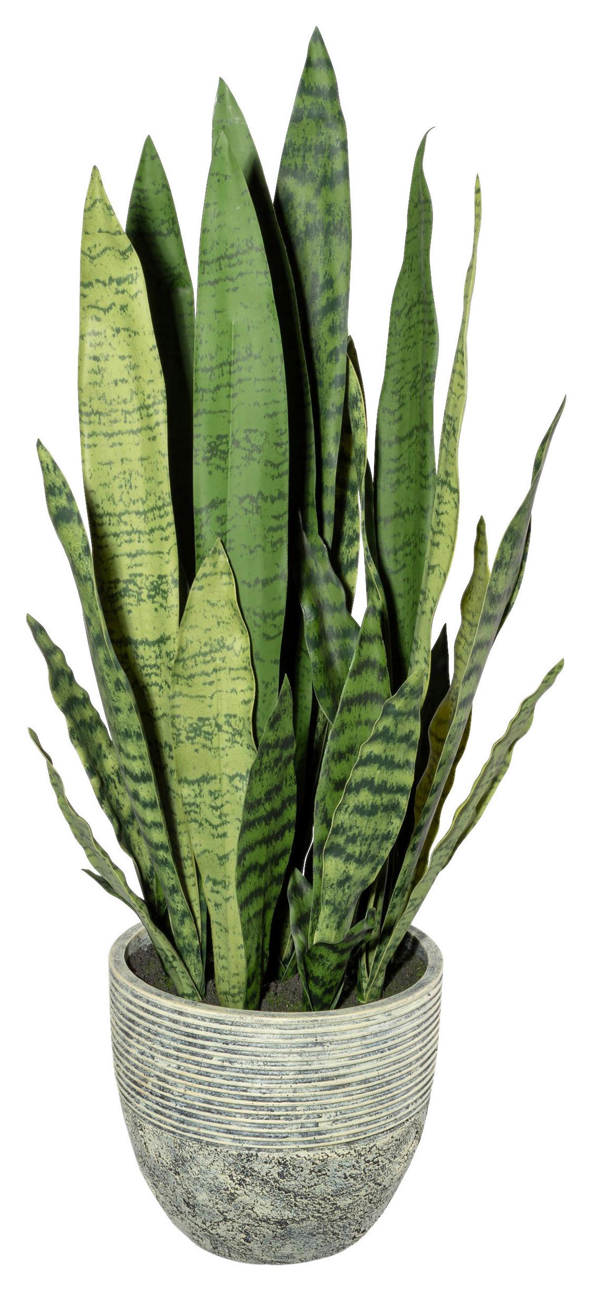 Kunstpflanze Sukkulenten Gelb/Grau/Grün, 80 cm - Gelb/Grau, Design, Kunststoff (80cm) - P & B