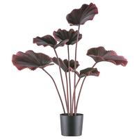 Kunstpflanze Palmen Dunkelrot/Schwarz, 100 cm - Schwarz/Dunkelrot, Design, Kunststoff (100cm)