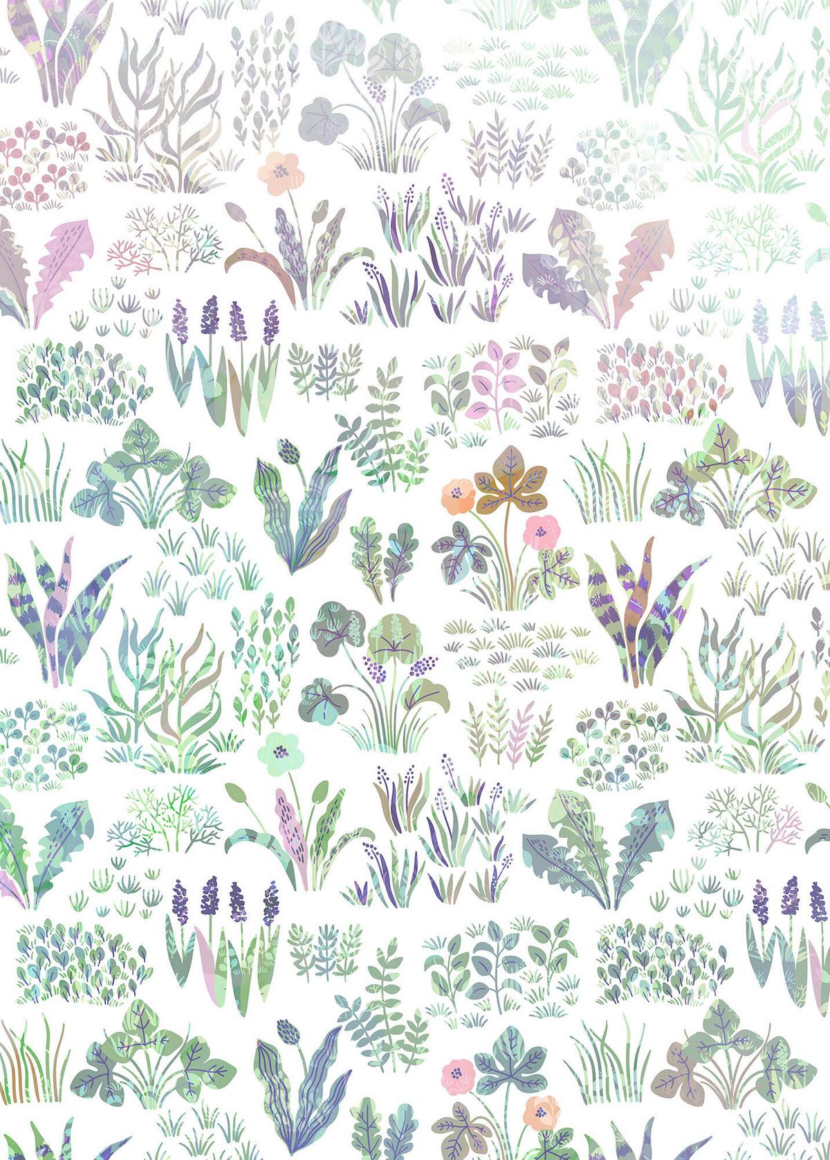 Fototapete Flower Farm - Multicolor, Trend, Papier (200/280cm)