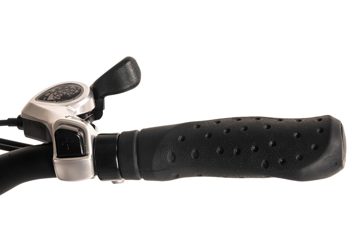 E-citybike 20 Zoll Schwarz - Schwarz, LIFESTYLE, Metall (180cm)