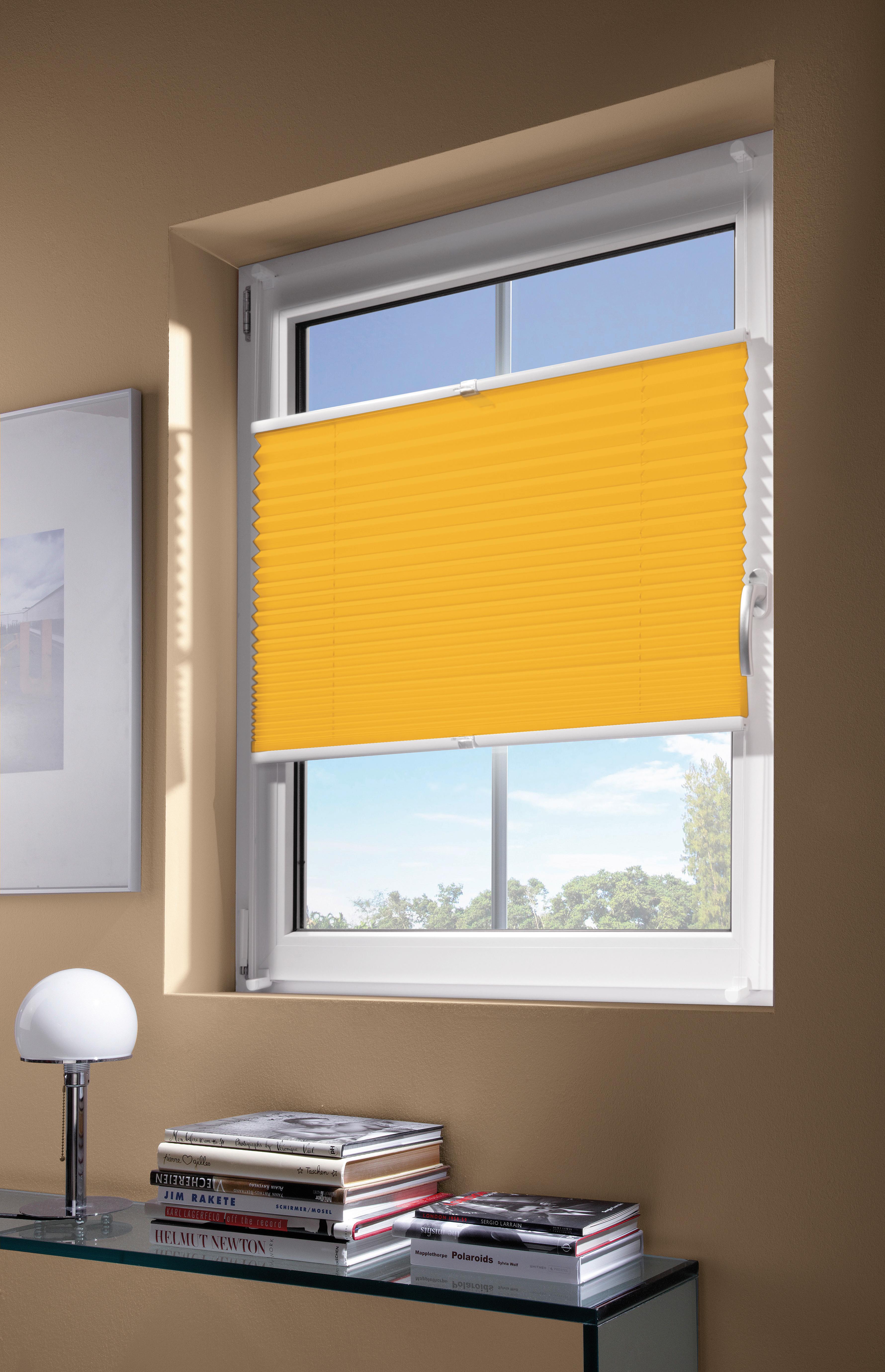 Plissee Goldfarben B: 50 cm - Goldfarben, Basics, Textil (50/130cm)