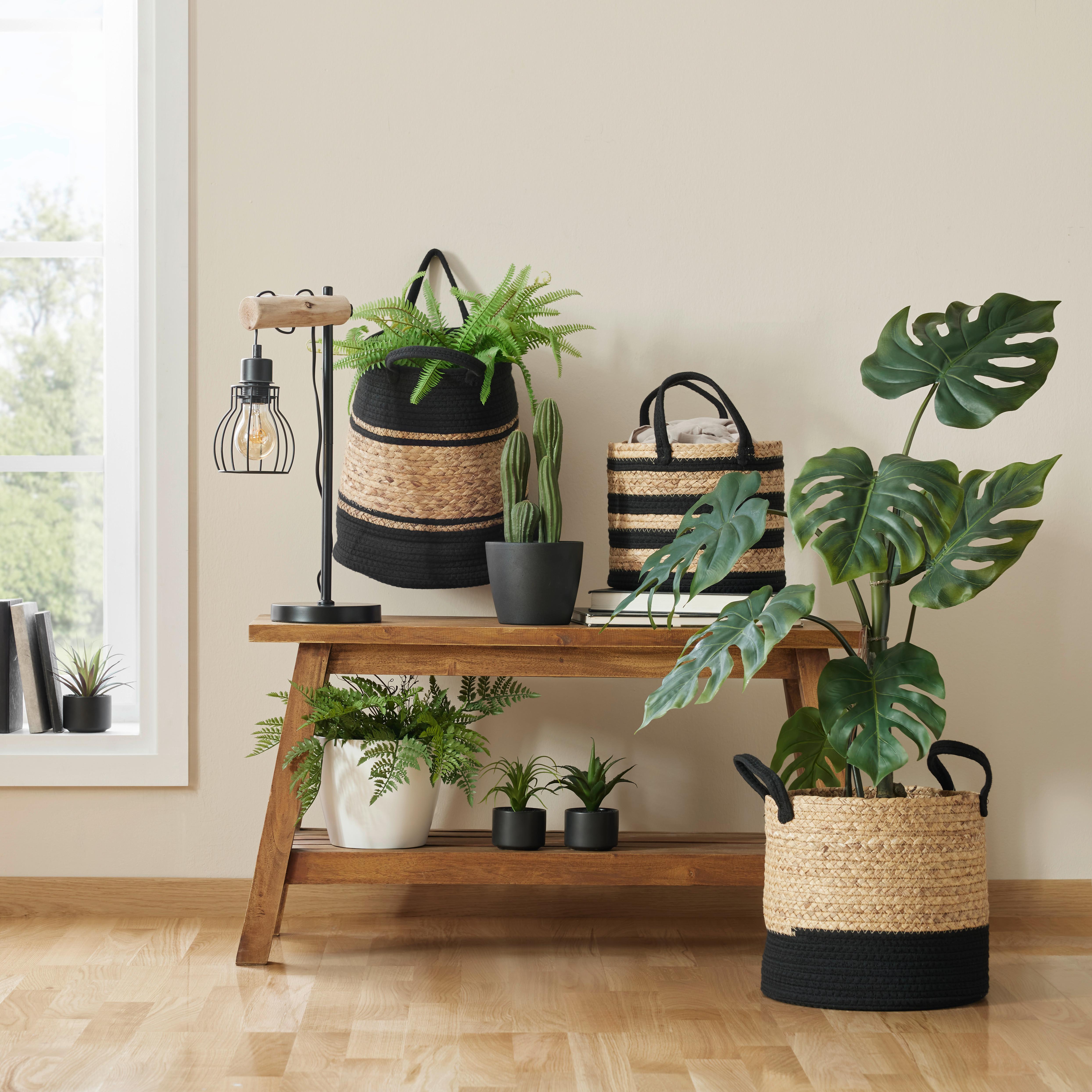 Umelá rastlina Filodendrón, V: 41cm - hnedá/čierna, Basics, plast (41cm)