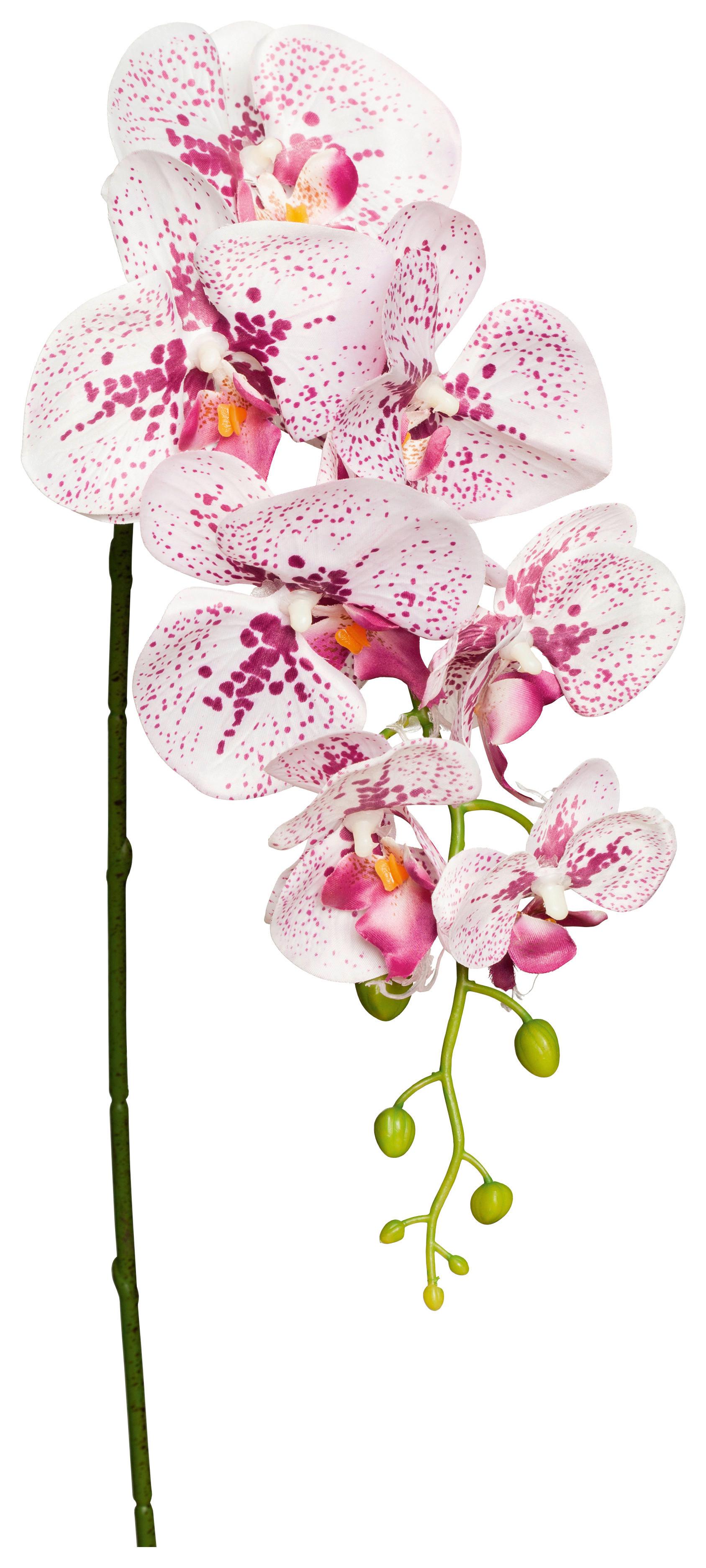 Kunstpflanze Orchidee Lila/ Weiß L: 86 Cm, Ria - Lila/Weiß, KONVENTIONELL, Kunststoff/Metall (86cm)