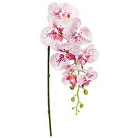 Kunstpflanze Orchidee Lila/ Weiß L: 86 Cm, Ria - Lila/Weiß, KONVENTIONELL, Kunststoff/Metall (86cm)