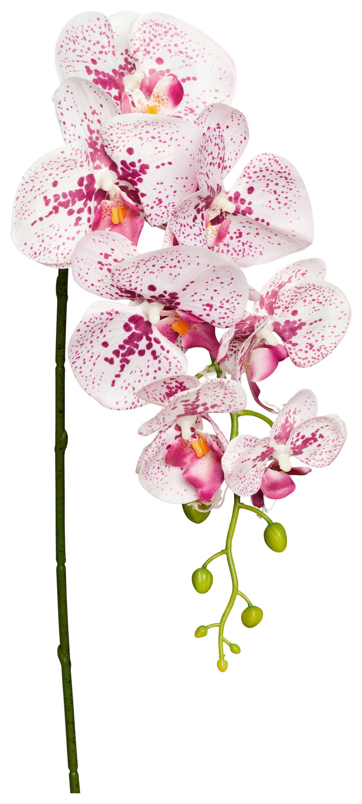 Kunstpflanze Orchidee Lila/ Weiß L: 86 Cm, Ria - Lila/Weiß, KONVENTIONELL, Kunststoff/Metall (86cm)