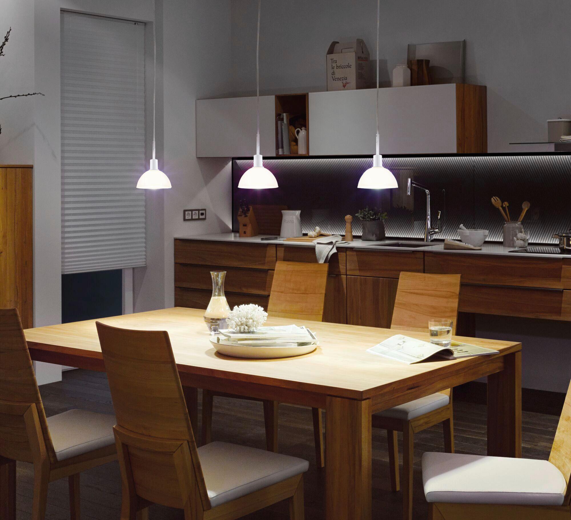 Schienensystem-Hängeleuchte 94885 Urail Sarrasani Sw - Basics, Metall (14,0/140cm) - Paulmann