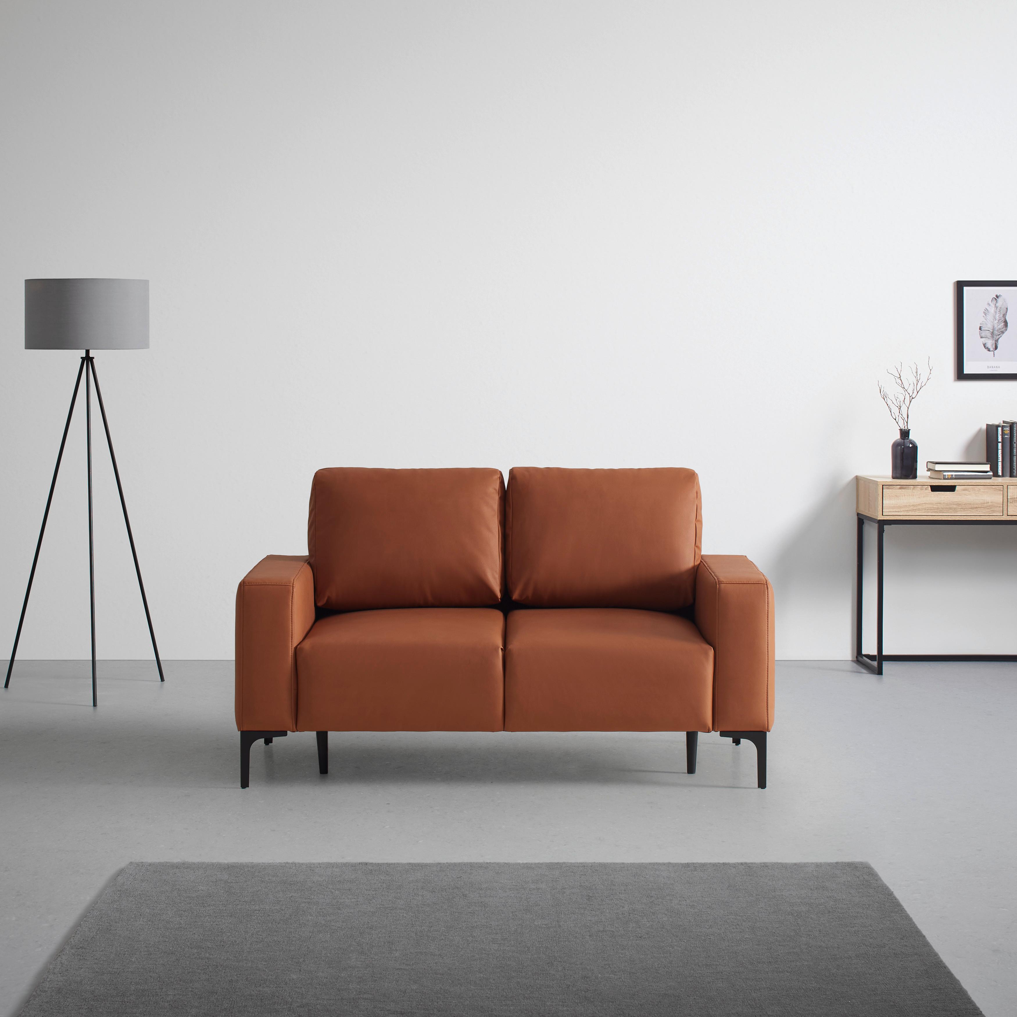 Dvoumístná pohovka CUSTOM, rezavá - černá/rezavá, Moderní, kov/textil (150/85/92cm) - Mömax