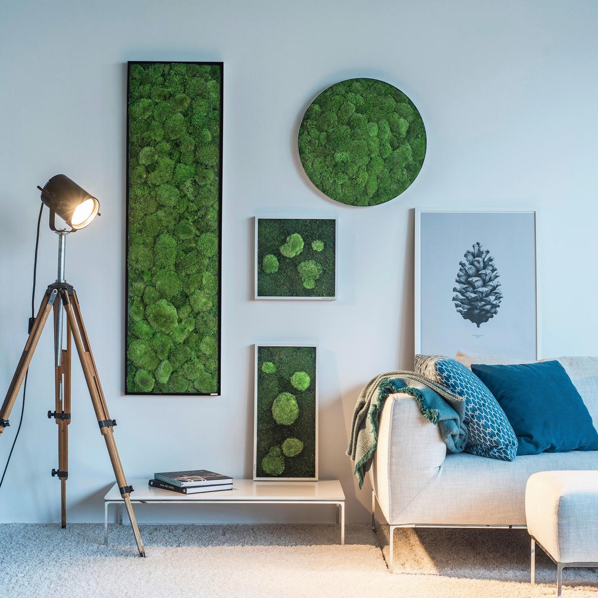 Moosbild Grün B: 100 cm - Weiß/Grün, Basics, Naturmaterialien/Holz (100/60/7cm)