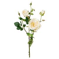 Kunstpflanze Rose Creme L: 63 cm, Elke - Creme/Grün, Natur, Kunststoff (63cm)