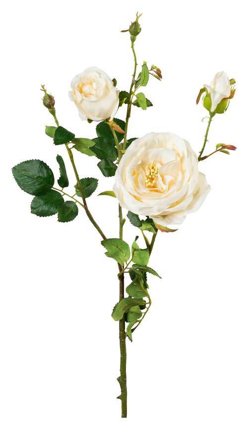 Kunstpflanze Rose Creme L: 63 cm, Elke