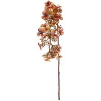 Umělá rostlina RISPENHORTENSIE I -PAZ- - hnědá/světle hnědá, Basics, plast (89cm) - Mömax