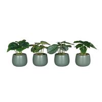 Kunstpflanze Grünpflanzen - Grün, Basics (15cm)