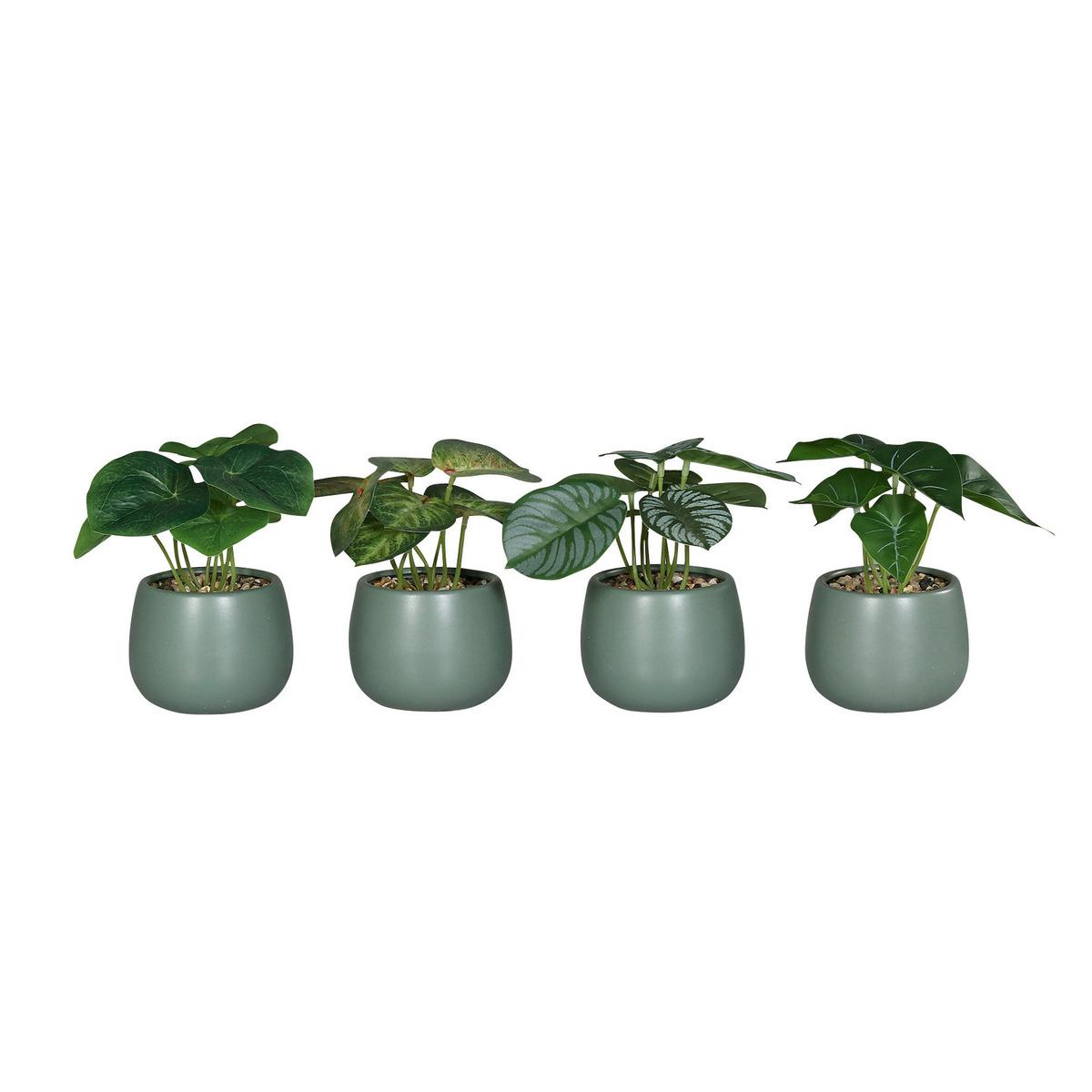 Kunstpflanze Grünpflanzen - Grün, Basics (15cm)