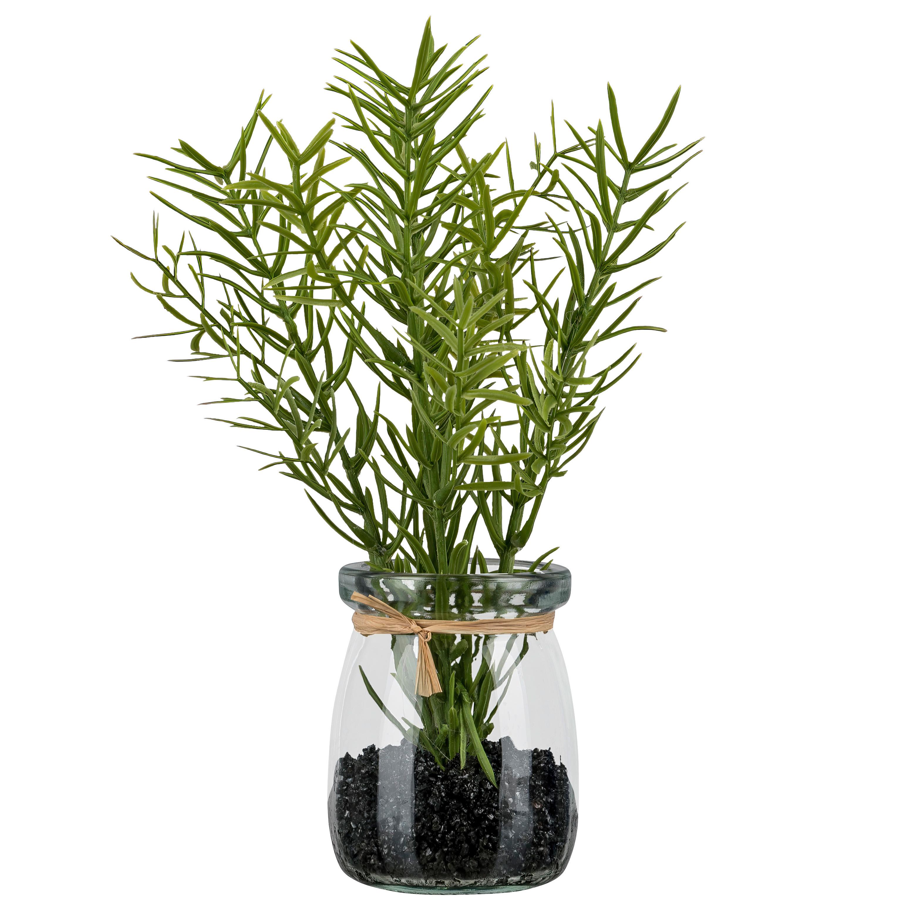 Umělá rostlina ROSMARIN II - zelená/čiré, Konvenční, plast/sklo (18cm) - Mömax