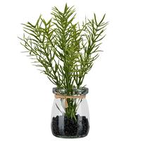 Umělá rostlina ROSMARIN II - zelená/čiré, Konvenční, plast/sklo (18cm) - Mömax