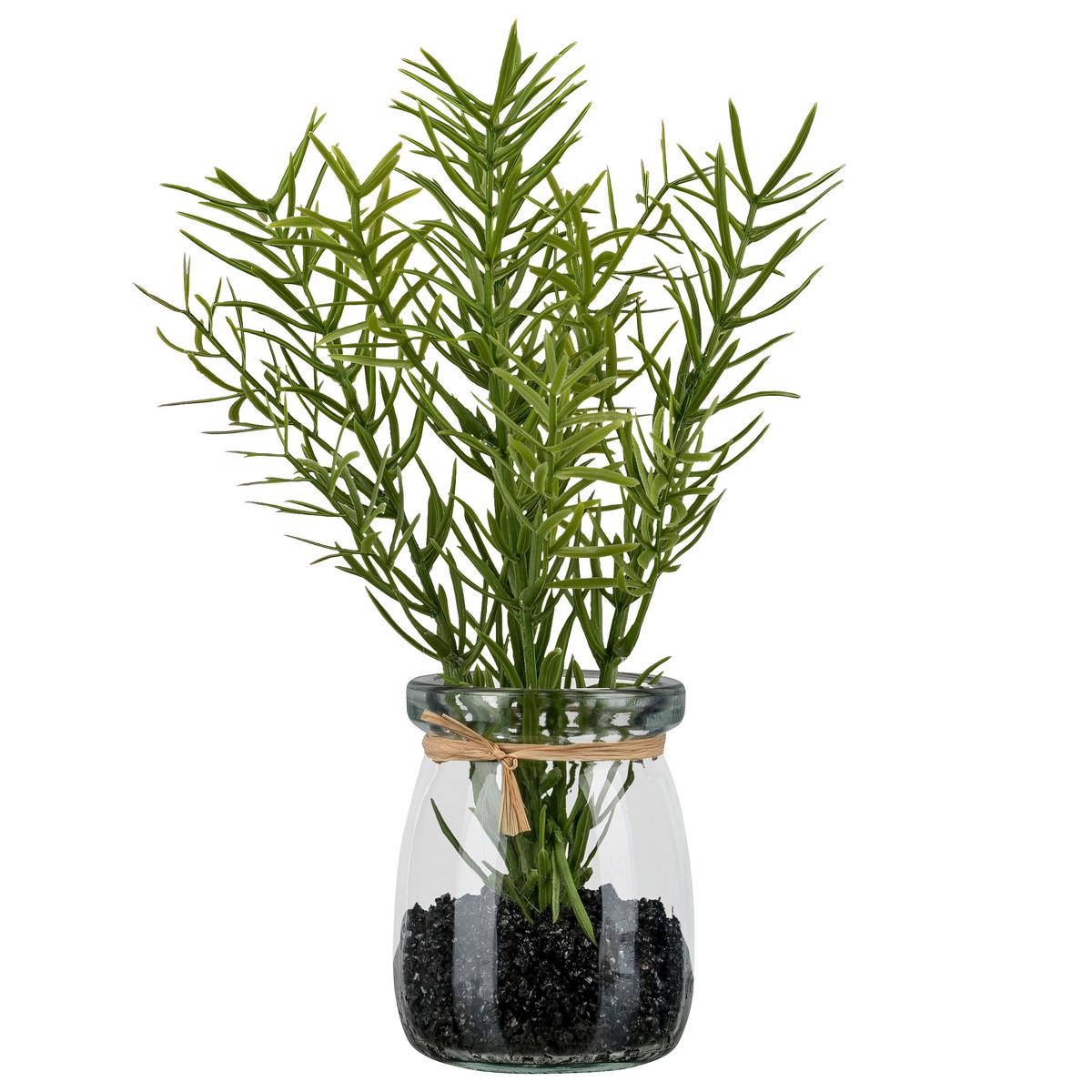 Umělá rostlina ROSMARIN II - zelená/čiré, Konvenční, plast/sklo (18cm) - Mömax