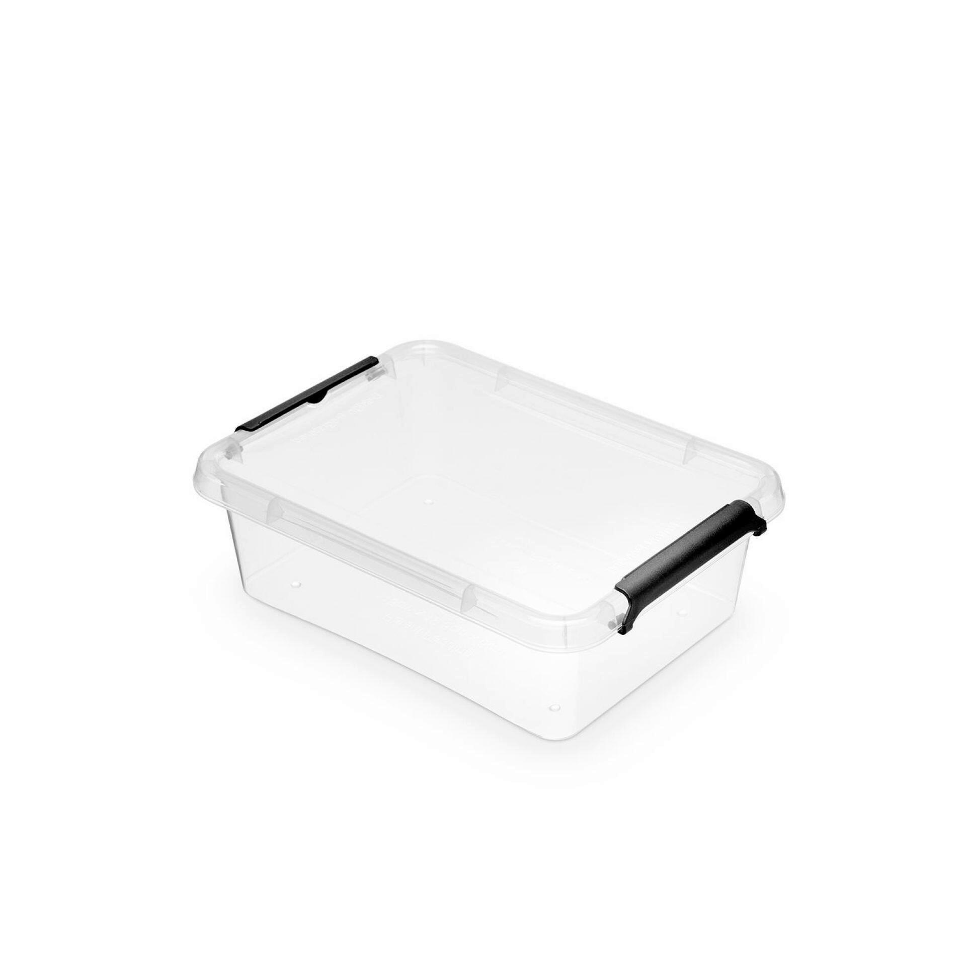 BOX MIT DECKEL MILA - Transparent/Schwarz, KONVENTIONELL, Kunststoff (19,5/15/6,5cm) - Homezone