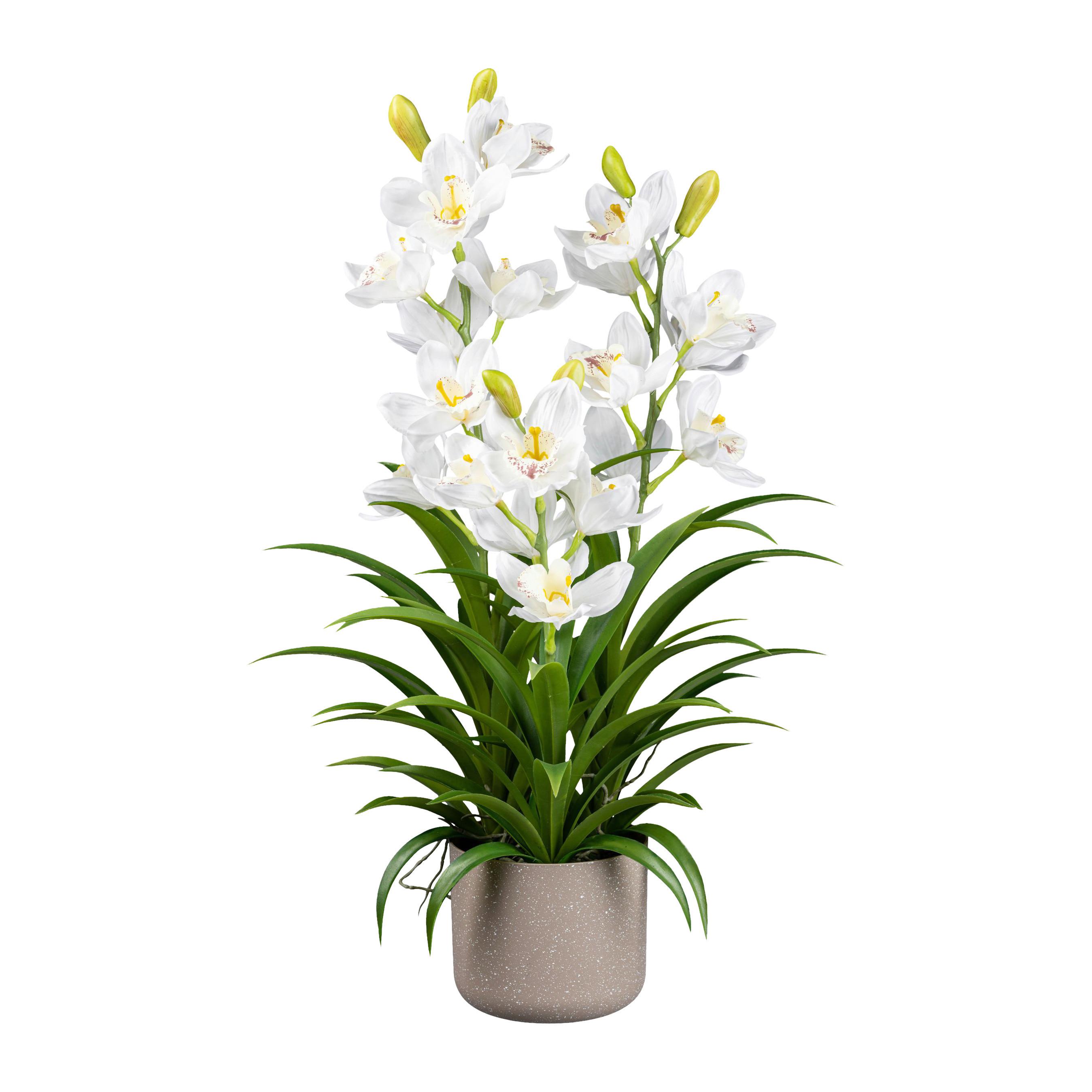 Kunstpflanze Orchideen Weiß, Topf: Grau, H: 70 Cm - Weiß/Grau, Design, Kunststoff (70cm) - P & B