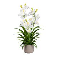 Kunstpflanze Orchideen Weiß, Topf: Grau, H: 70 Cm - Weiß/Grau, Design, Kunststoff (70cm) - P & B