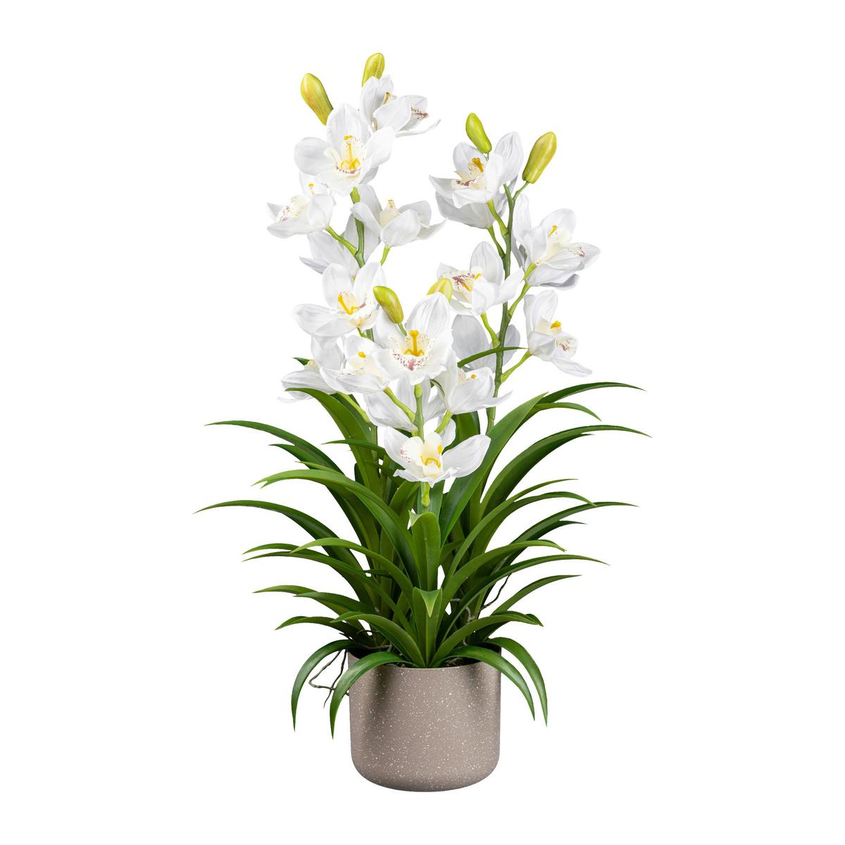 Kunstpflanze Orchideen Weiß, Topf: Grau, H: 70 Cm - Weiß/Grau, Design, Kunststoff (70cm) - P & B