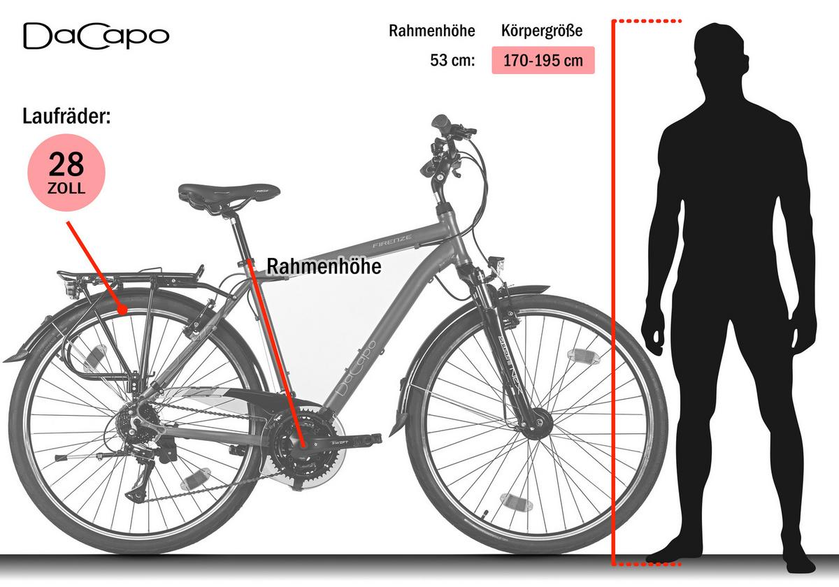 Trekkingrad Herren 28 Zoll - Anthrazit, Basics, Metall