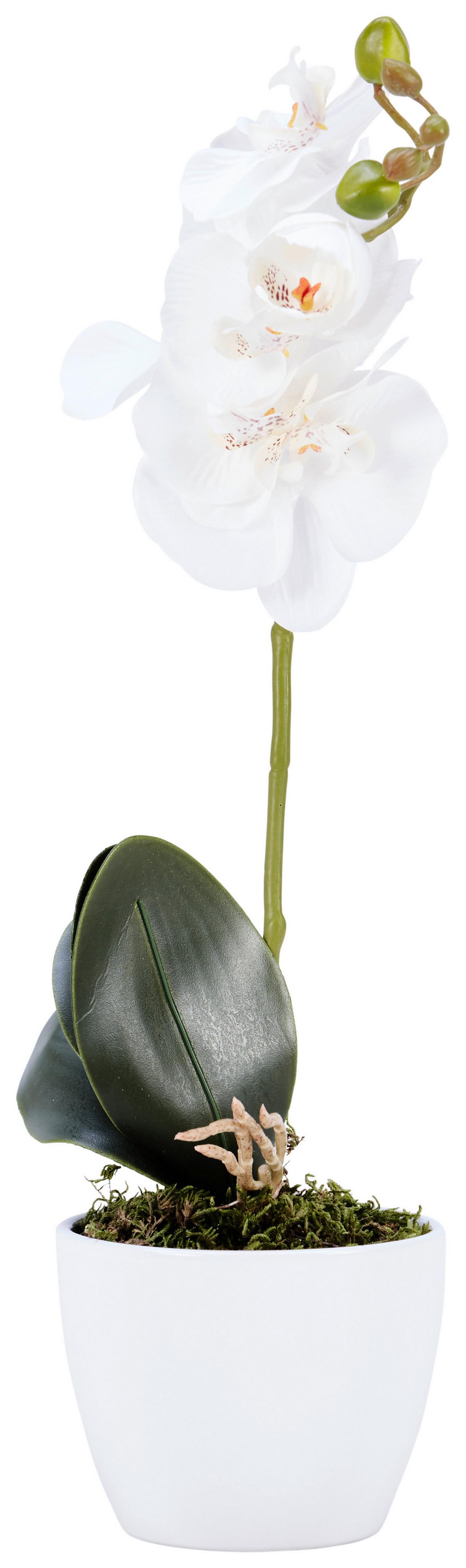 Kunstpflanze Orchidee Bunt H: 40 cm Im Topf, Sofie - Lila/Weiß, KONVENTIONELL, Keramik/Kunststoff (40cm)