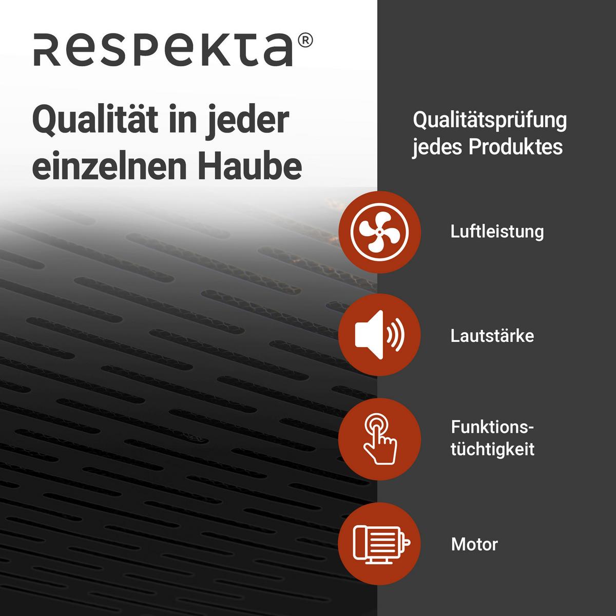 Dunstabzugshaube Respekta Suna 60 Cm - Schwarz, Trend, Metall (60/7,6/47cm) - Respekta