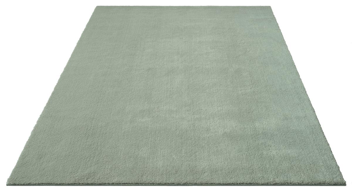 Fellteppich Loft - Grün, KONVENTIONELL, Textil (60/110cm)