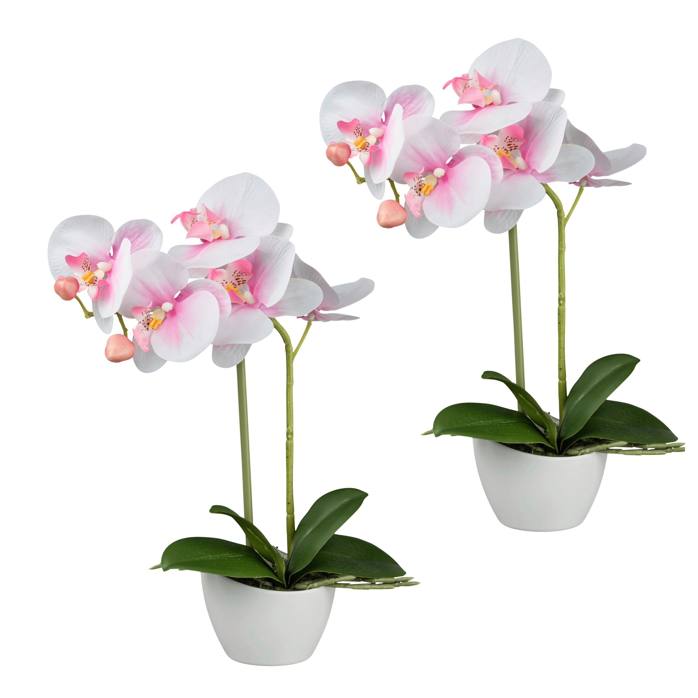 Kunstpflanze Orchideen Rosa, Topf: Weiß, H: 33 cm - Rosa/Weiß, Design, Kunststoff (33cm) - P & B