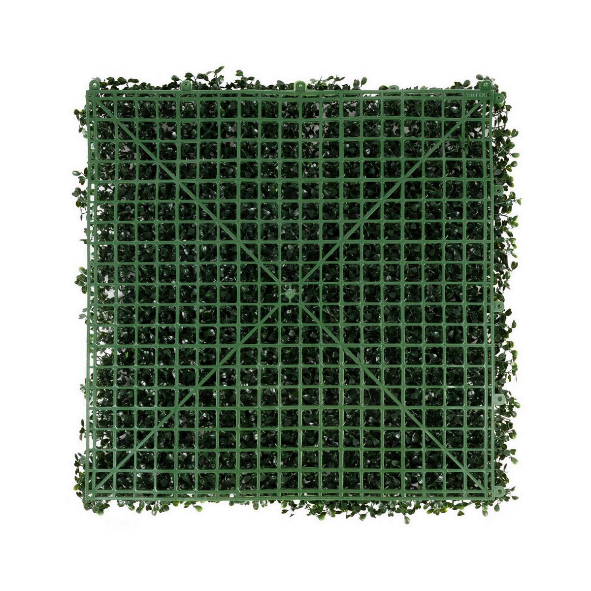 Wandverkleidung Kunstpflanze - Jadegrün, Trend, Kunststoff (50/50cm) - FloorDirekt