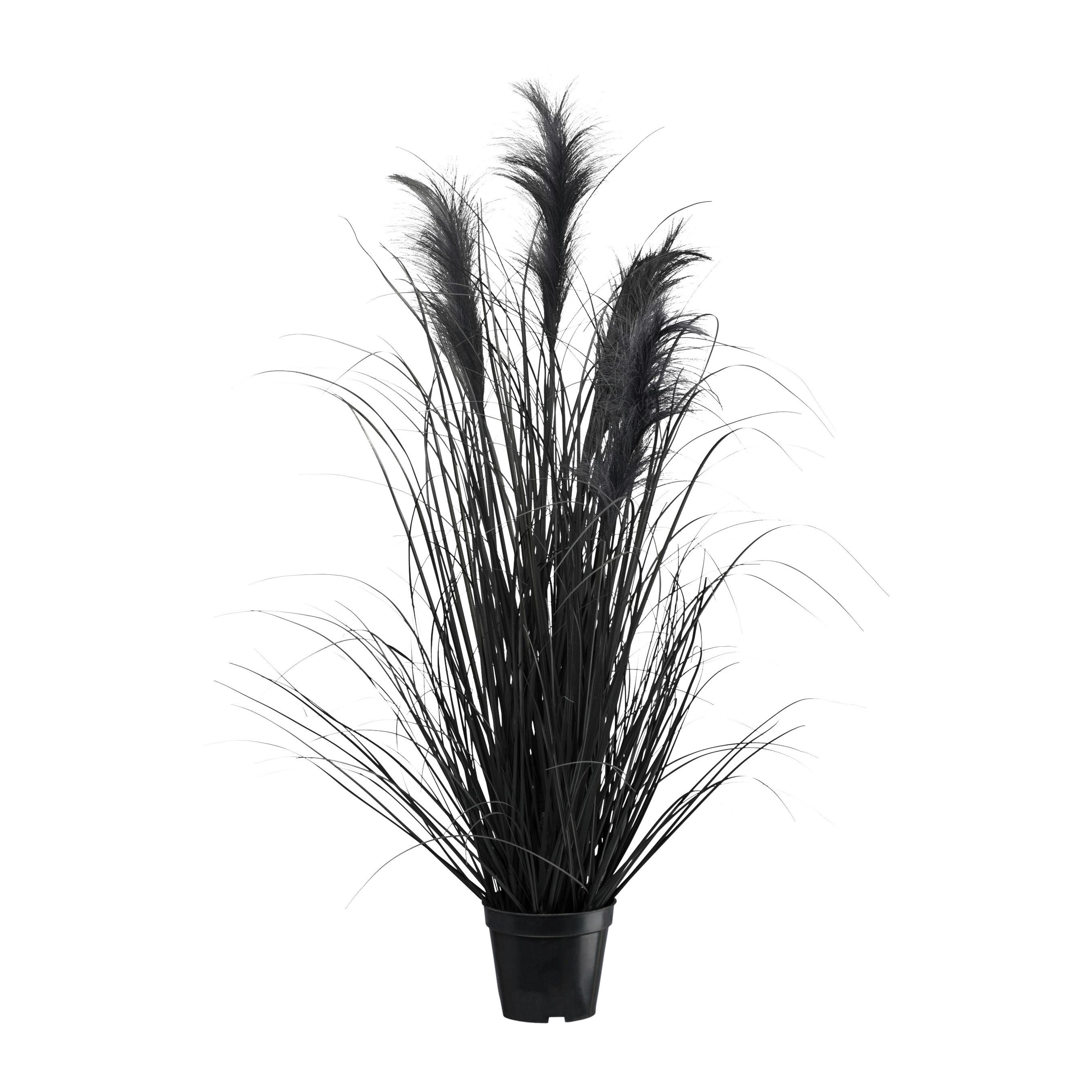 UMELÁ RASTLINA PAMPOVÁ TRÁVA II - čierna, Modern, plast (92cm) - Modern Living
