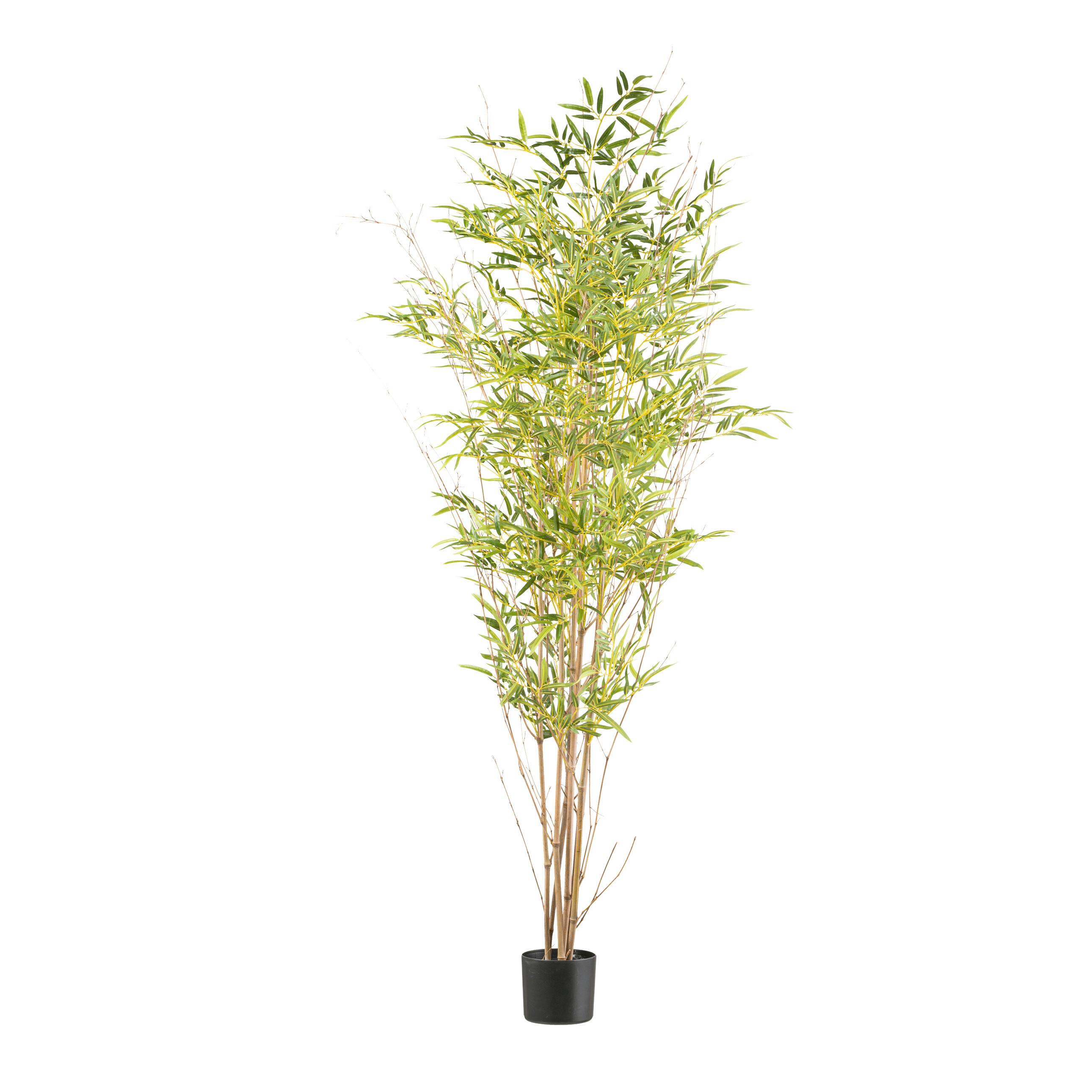 Kunstpflanze Bambus mit Naturstamm H: 185 cm - Schwarz/Naturfarben, Design, Naturmaterialien/Kunststoff (185cm) - P & B