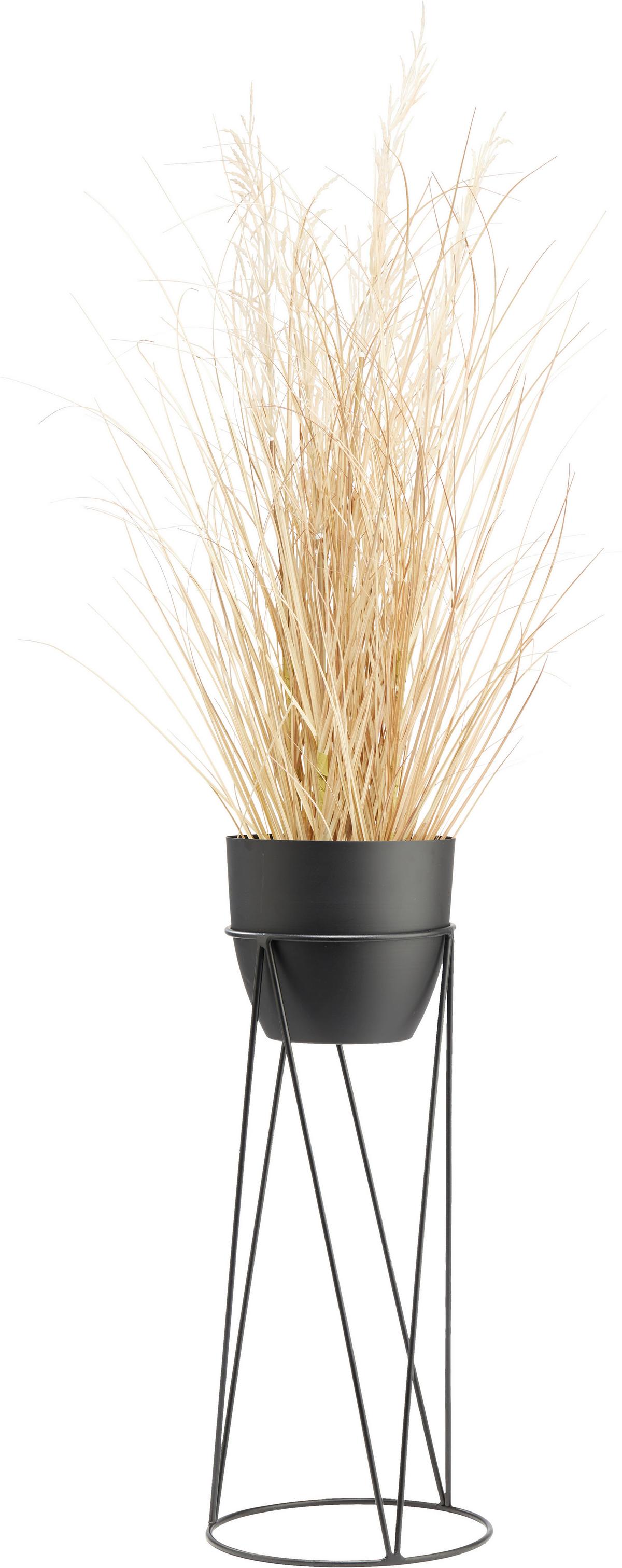 Obal na kvetináč Eastside, Ø/V: 25/60cm - čierna, kov (25/60cm) - Mömax