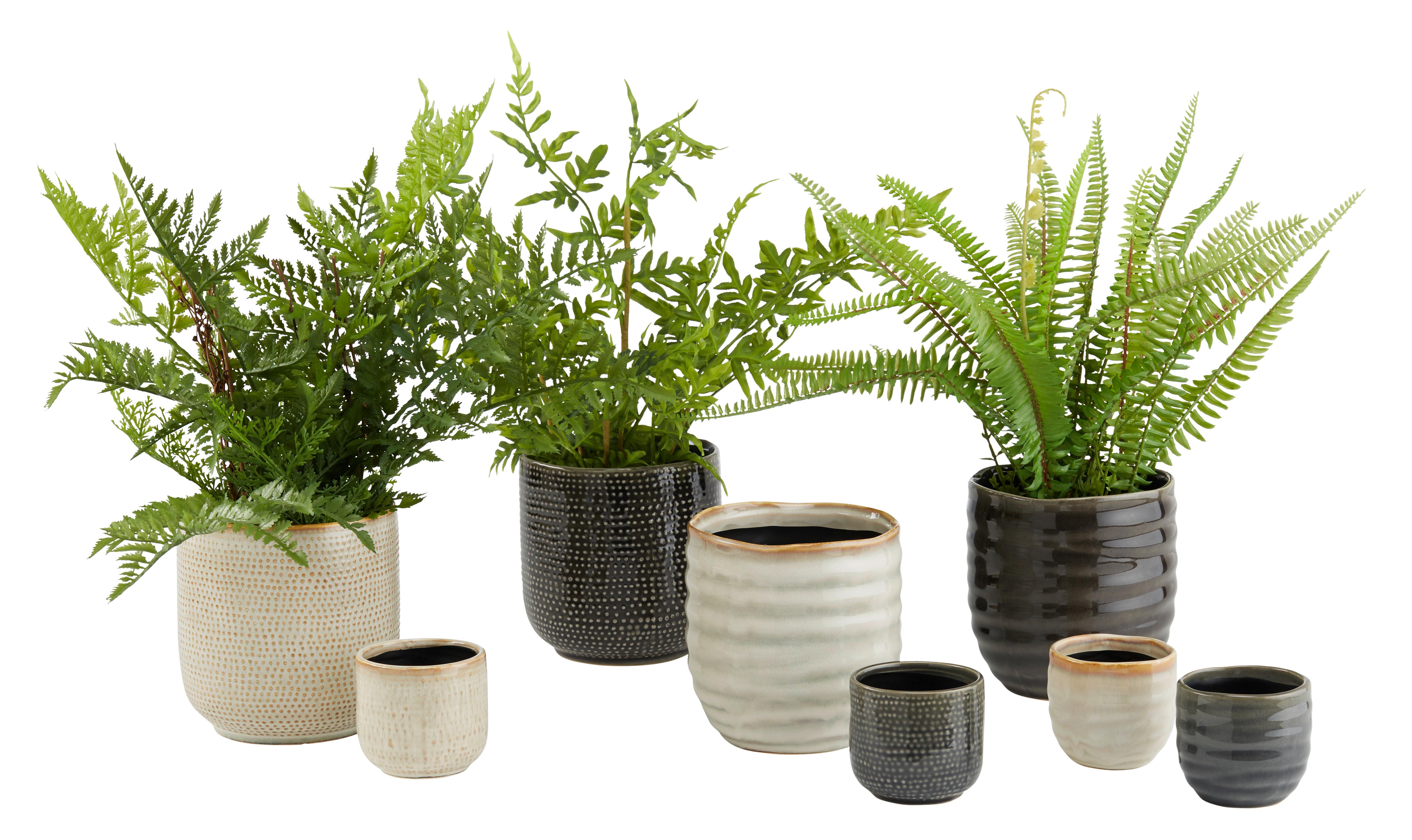 Obal na květináč Mood, Ø/V: 6,5/6,5cm - béžová, keramika (6,5/6,5cm) - Modern Living
