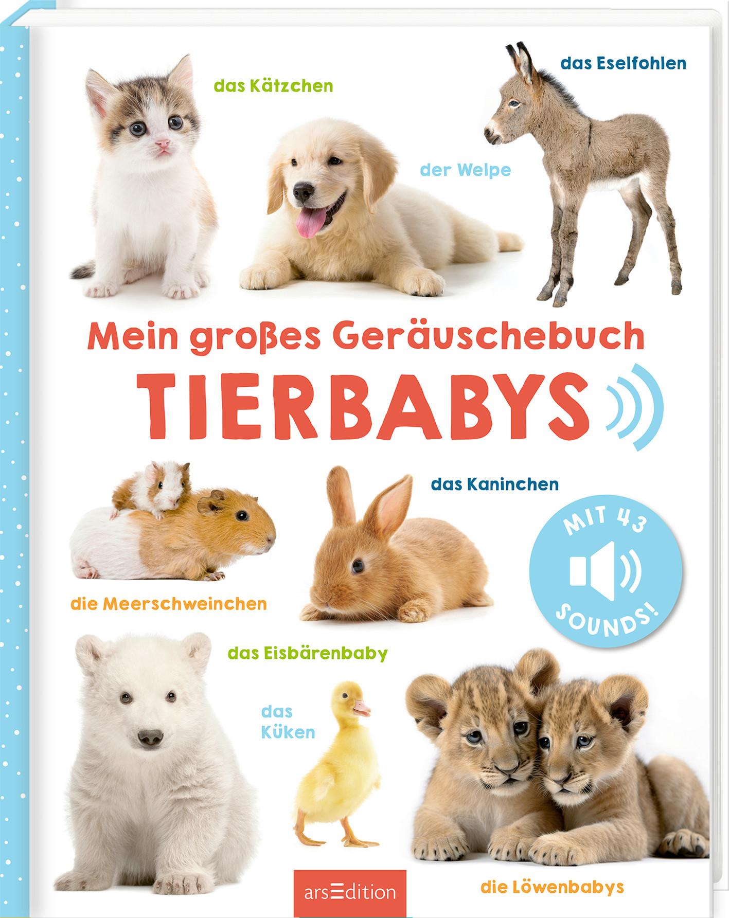SOUNDBUCH GERÄUSCHE TIERBABYS - Multicolor, Basics, Papier (27,7/22,/1,3cm)