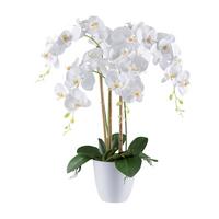 Kunstpflanze Orchideen Grün/weiß, 62 Cm - Weiß/Grün, Design, Kunststoff (62cm) - P & B