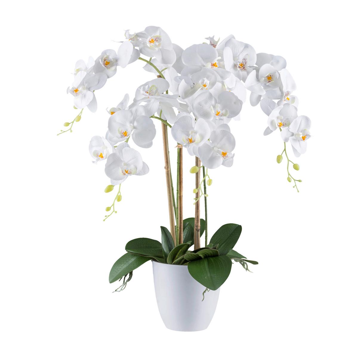 Kunstpflanze Orchideen Grün/weiß, 62 Cm - Weiß/Grün, Design, Kunststoff (62cm) - P & B