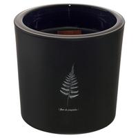 Svíčka ve skle Candle, ca 64 h. - černá, parafín/sklo (12/12cm) - Mömax