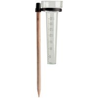 Regenmesser Calypso Analog mit Erdspieß - Klar/Transparent, Holz/Kunststoff (24,5/10,2cm) - Homezone