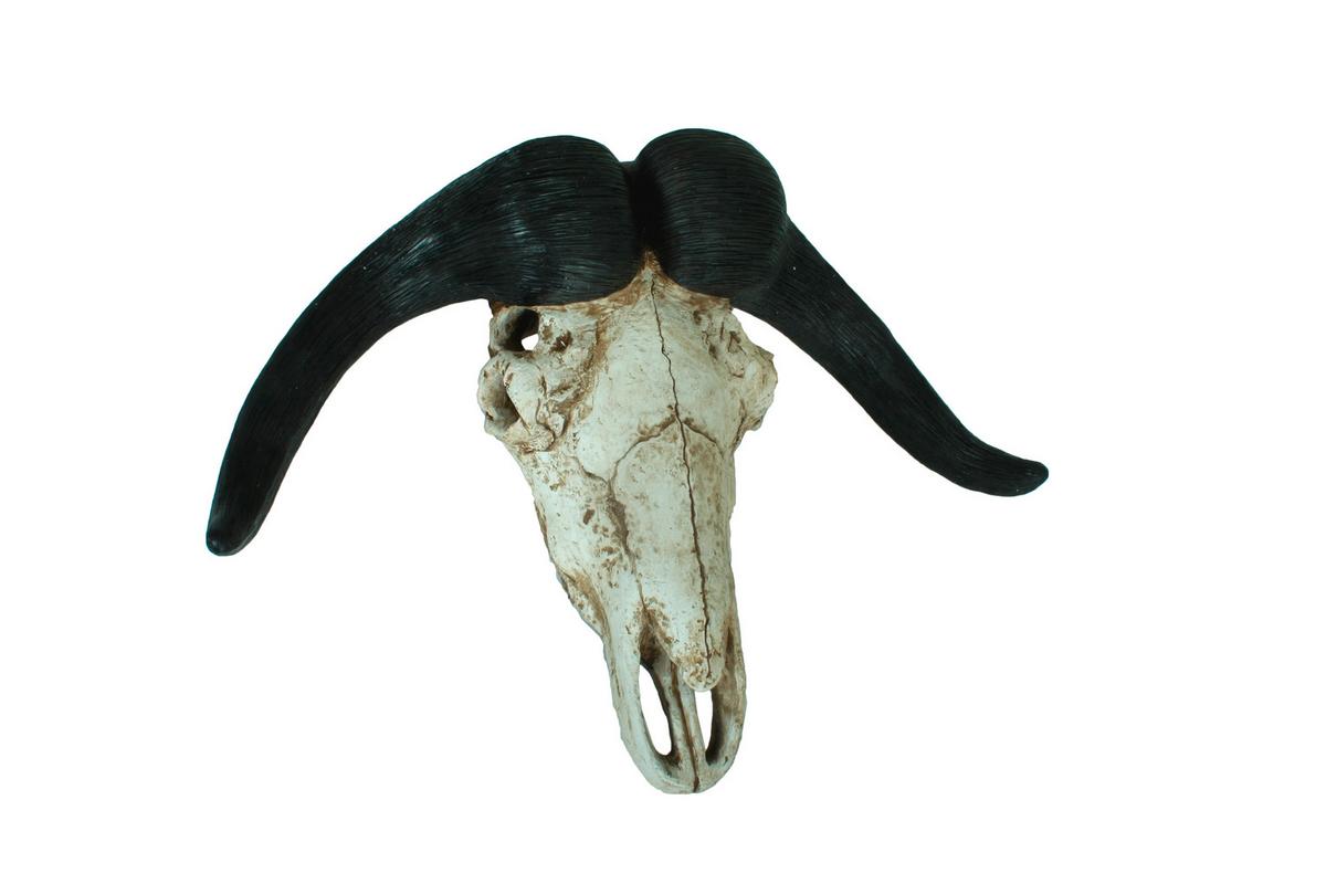 Geweih Braun Naturfarben B: 65,5 cm - Braun/Naturfarben, Basics, Kunststoff (65,5/49/21cm)
